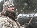 Salmon River steelhead Salmon River steelhead