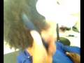 paulim fodao careca