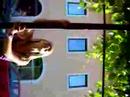 ragazze affamate 2