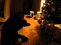 CHRISTMAS PRESENT THIEF