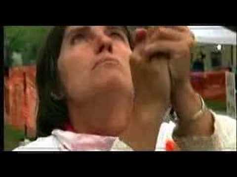Imagen de previsualización de YouTube