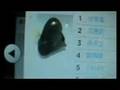 G.E.M. random talk - Fish Profile Pic on Yahoo!