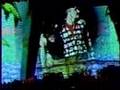U2 Concert Experience - On Tour with Diane Ele