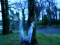 Paddy Tryin To Do A backflip On Da Tree Paddy Tryin To Do A backflip On Da Tree