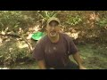 Prospecting with Graham: high banking