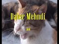 Daler Mehndi and Bhangra Chic (parody/tribute music video)