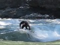 JEFF RIVERSURFING