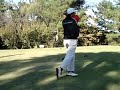 20091103甘楽_林2