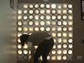 Animation with Pushlights Animation with Pushlights