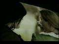 Pirates - Whydah