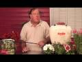 Flower & Plant Care : How to Control Whiteflies on Outdoor Plants