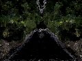 conero psychedelic trip