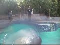 me my sis laura and my bud(the one w/ long blonde hair)doing stupid stuff in my pool