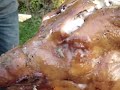 le Schietelhaw.... pas une l�gende