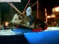 Bucking Bronco- Dam, im dum. Bucking Bronco- Dam, im dum.