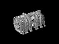 Renesis 16X