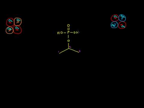 HEMOTOLOJİ - HEMOGLOBİN VE HEMATOKRİT