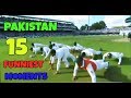 Download Funny Moments Of Pakistan Cricket 15 Most Funniest Moments Mp3 Song
