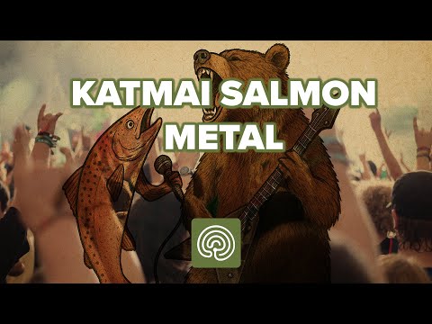 Salmon Metal