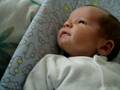 videos de Little Squeeler