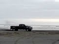 Dodgezilla Sand Donuts