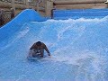 Wild Wadi 2007