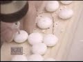 Mentos and Diet Coke Explosion -How They Do That? Mentos and Diet Coke Explosion -How They Do That?