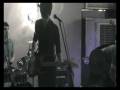 videos de Tigers gone ape