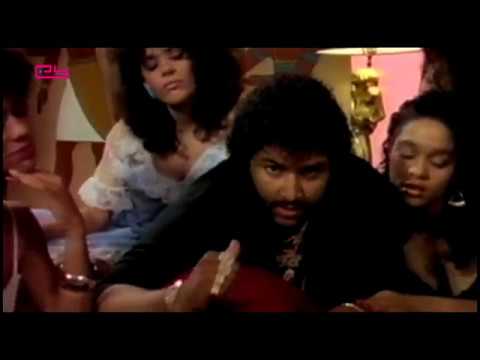 Collection - Egyptian Lover