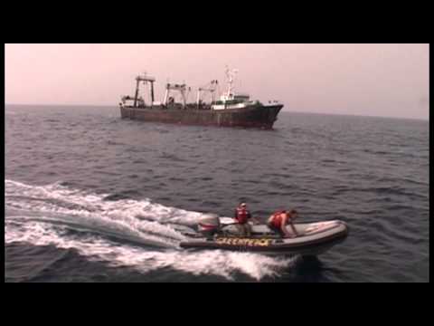 pirate fishing 2 - Illegal fishing operations - also known as