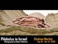 Pilobolus in Israel, Exhibition @ Chelsea Market