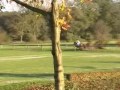 Djamai du Bois NRPS verrichtingsonderzoek Oktober