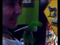 A short film made in the gift shop of Wonderworld Cave. An Indian princess hunting for jackalope is distracted by a cowboy who want her to go to the arcade to play duck hunt. See what happens when jackalopes take revenge.