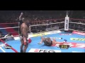 Alistair Overeem Highlight