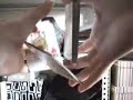 XCM Tutorial