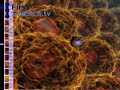 Nano explorers - science fiction or reality?