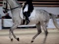 Magnifique reprise de dressage � Equita Lyon.