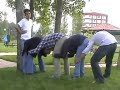 çılgın bir atlayış (mpal 2006)