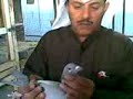 الجبيلان,حمام,مشعل