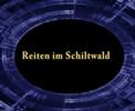 REITERIN IM SCHILTWALD REITERIN IM SCHILTWALD