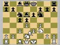 Unusual Opening: The Hippo Part 2 B06