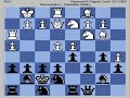 Unusual Opening: The Hippo Part 2 B06