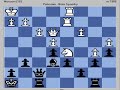 Unusual Opening: The Hippo Part 2 B06