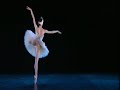 Swan Lake Odette Variation (Lucia Lacarra)