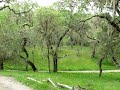 Heilmann Park Walk #3c