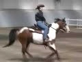 western-riding.html
