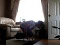 videos de Tuck Planche push-ups (x5)