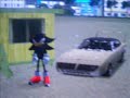 Vice City  Hedgehog's