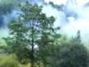 Gegenl�ufiges Reihenfeuer