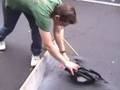 videos de Rocket Car Rally 2007